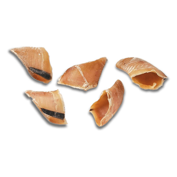 snack natural - cascos de vaca - 5 unidades