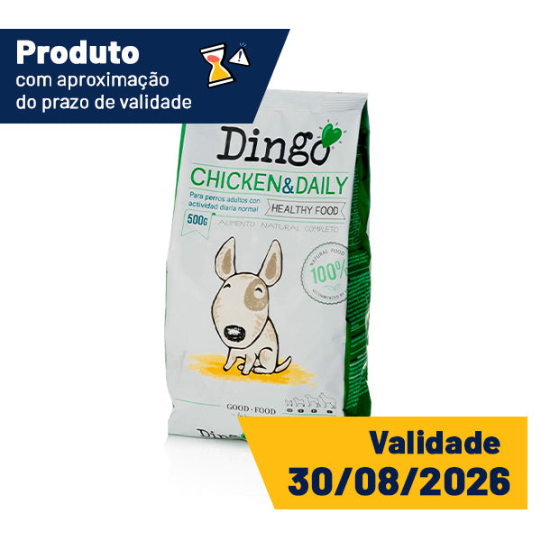 dingo chicken & daily