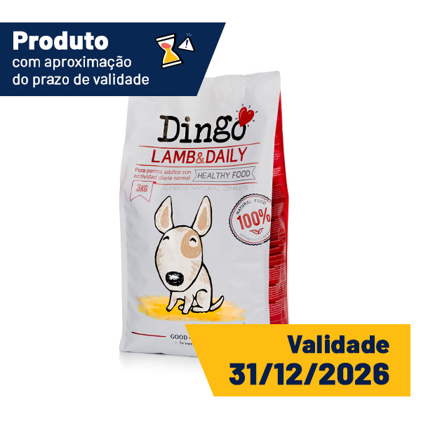 dingo lamb & daily