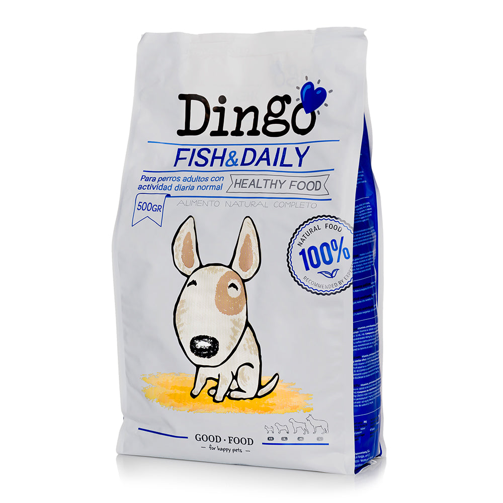 dingo fish & daily