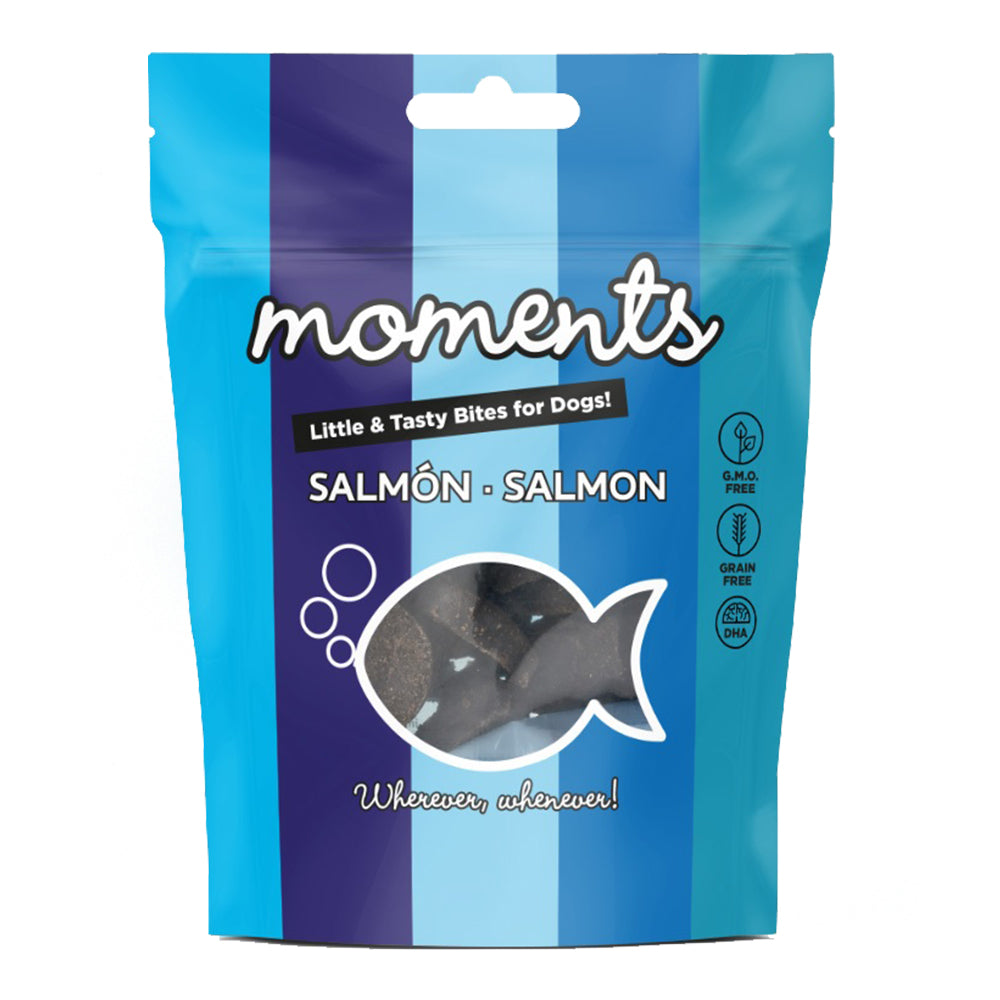 moments dog salmon 60 g - cx12 un.