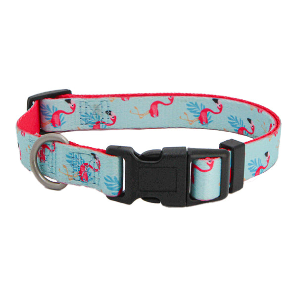 coleira nylon freedog #variant:15mm x 35/50 cm