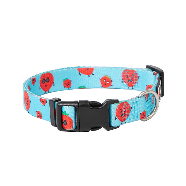 coleiras summer collection