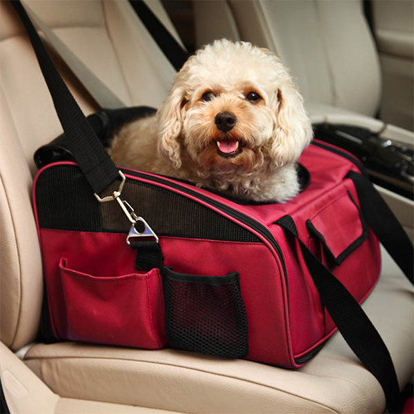 transportadora car bag